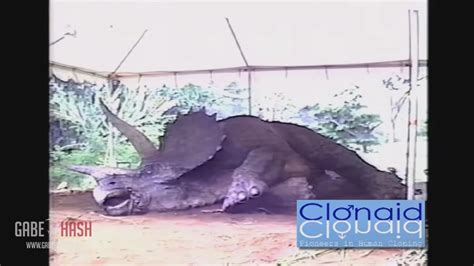 cloning dinosaurs - first cloned dinosaur dies.